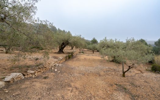 Una vida molt més tranquil·la (14)