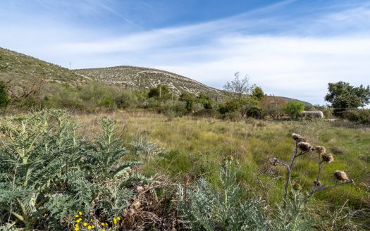 Finca sin cultivo con una ruina (46)