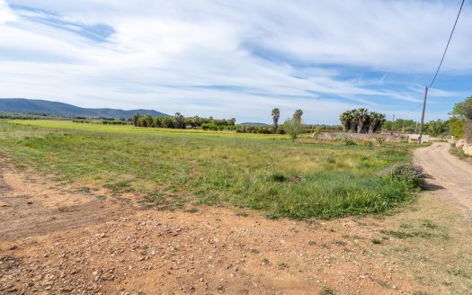 Finca sin cultivo con una ruina (46)