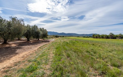 Finca sin cultivo con una ruina (46)