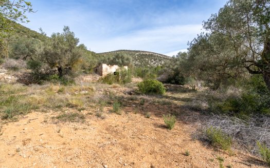 Finca sin cultivo con una ruina (46)