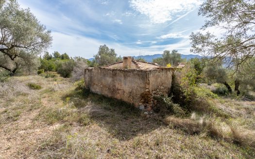 Finca sin cultivo con una ruina (46)