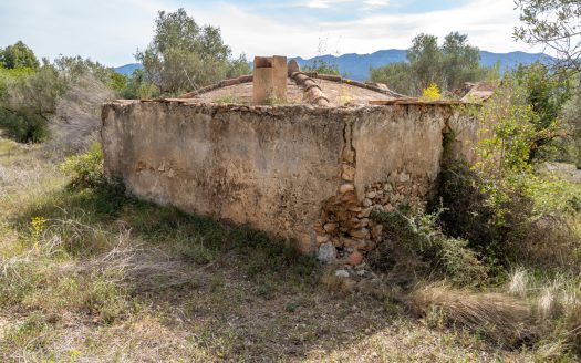 Finca sin cultivo con una ruina (46)