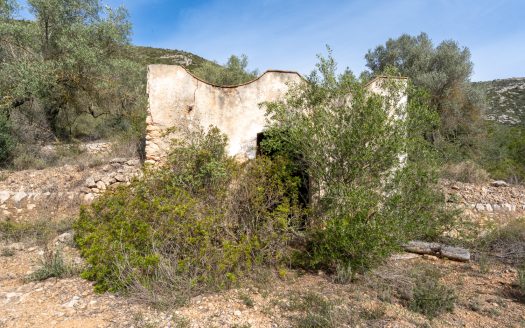 Finca sin cultivo con una ruina (46)