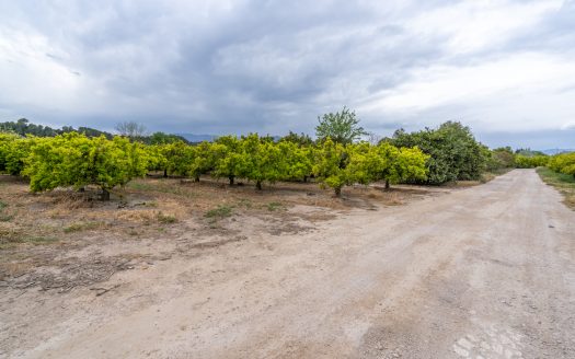 Casa de campo cerca del rio Ebro (43)