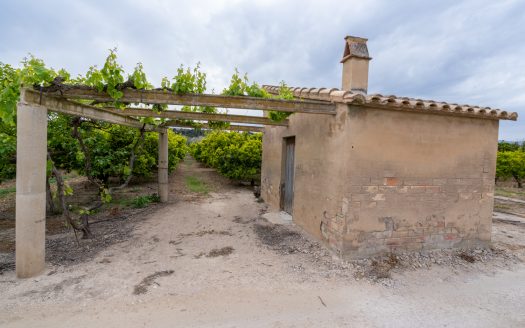 Country house near the Ebro river (43)