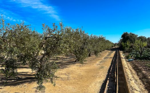 Finca prop del riu Ebre (38)