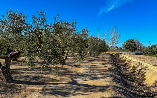 Finca prop del riu Ebre (38)