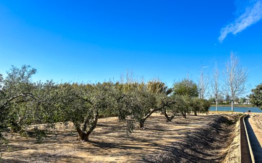 Finca prop del riu Ebre (38)