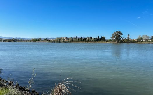 Finca prop del riu Ebre (38)