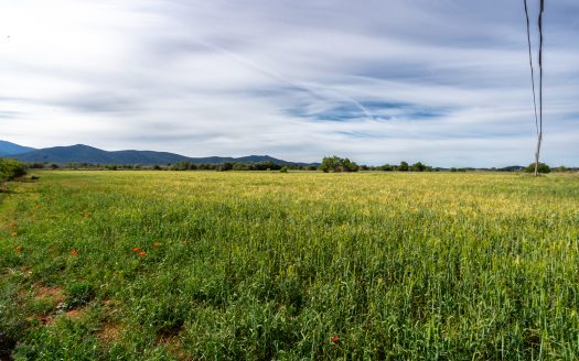 Big land next to the road (53)