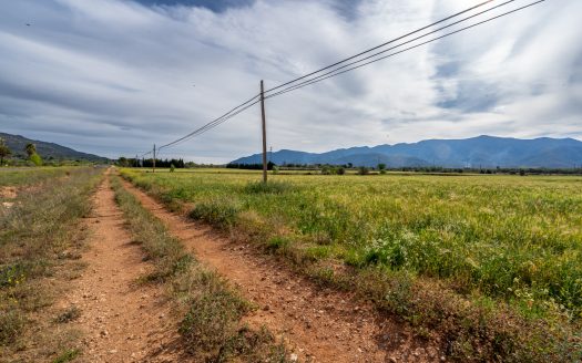 Big land next to the road (53)