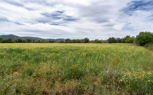 Finca plana prop de la autopista (54)