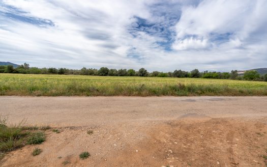 Finca plana prop de la autopista (54)