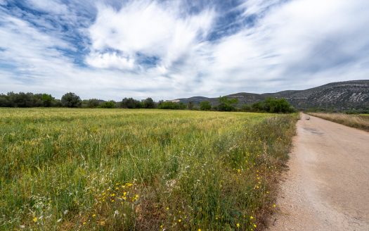 Finca plana prop de la autopista (54)