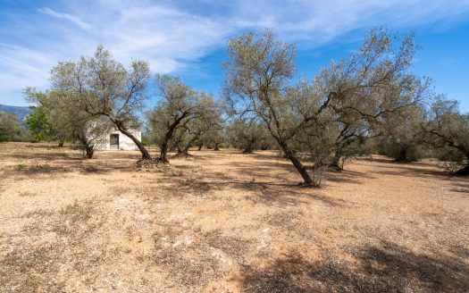 Una finca en un lugar aislado (57)