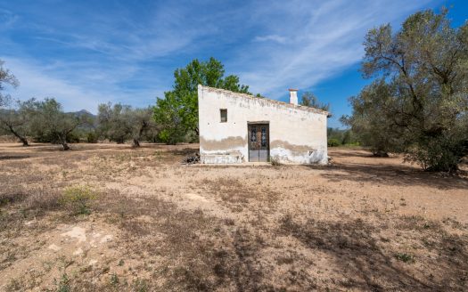 Una finca en un lloc aïllat (57)