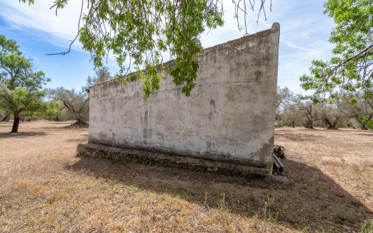 Una finca en un lloc aïllat (57)