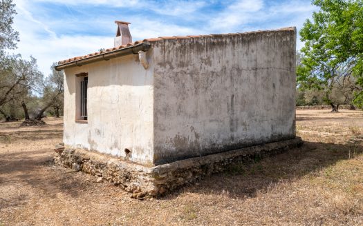 Una finca en un lloc aïllat (57)