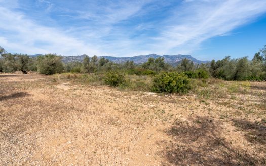 Una finca en un lloc aïllat (57)