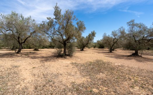 Una finca en un lloc aïllat (57)