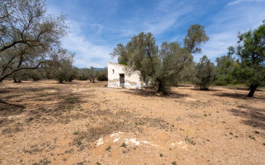 Una finca en un lloc aïllat (57)