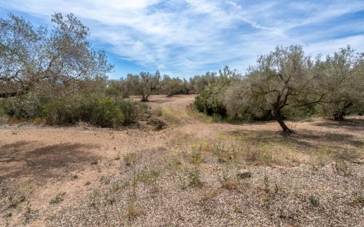 Una finca en un lugar aislado (57)