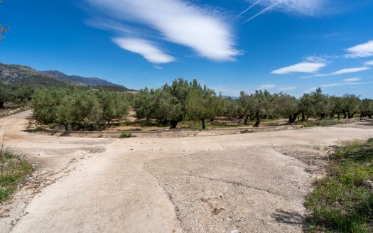 Finca de secano con buen acceso (68)