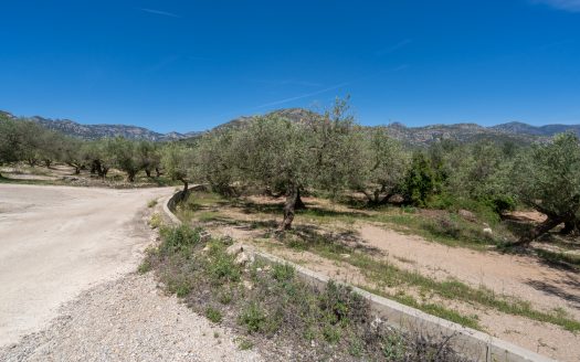 Finca de secano con buen acceso (68)