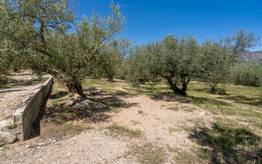 Finca de secano con buen acceso (68)