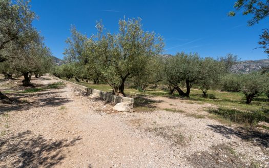 Finca de secano con buen acceso (68)