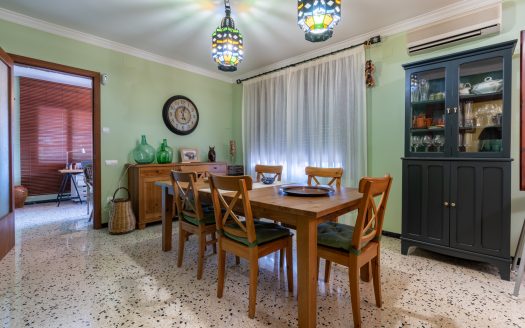 Charming tradicional villa (83)