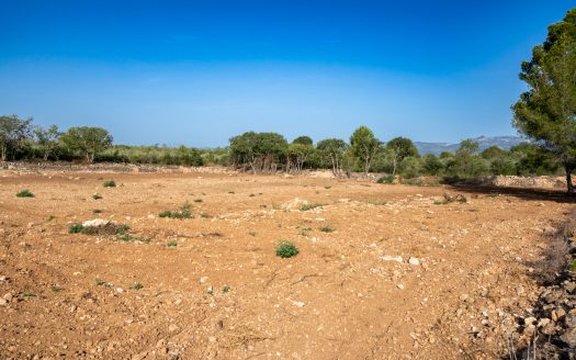 Finca amb aigua potable (88)