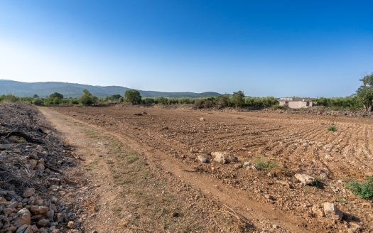 Finca amb aigua potable (88)