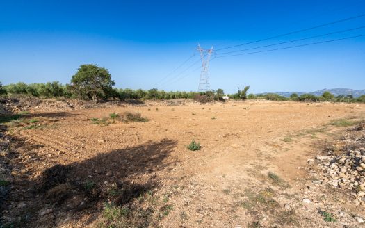 Finca amb aigua potable (88)