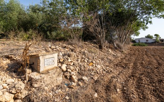 Finca amb aigua potable (88)