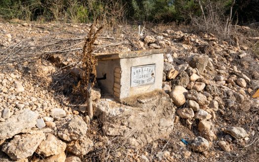 Finca amb aigua potable (88)