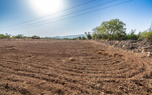 Finca amb aigua potable (88)