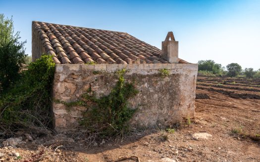 Finca sense arbres i amb casa de camp (89)