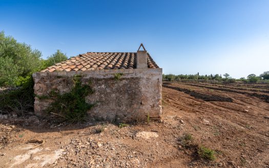 Finca sense arbres i amb casa de camp (89)