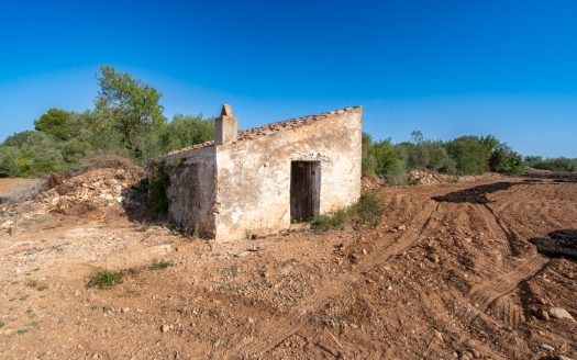 Finca sense arbres i amb casa de camp (89)