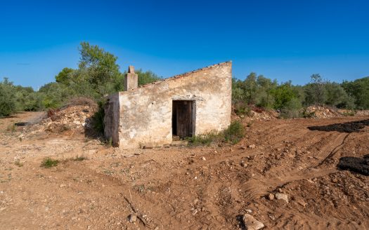 Finca sense arbres i amb casa de camp (89)