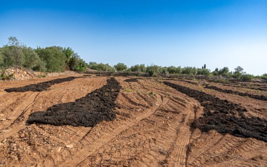 Finca sense arbres i amb casa de camp (89)