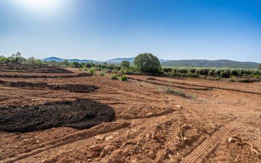 Finca sense arbres i amb casa de camp (89)