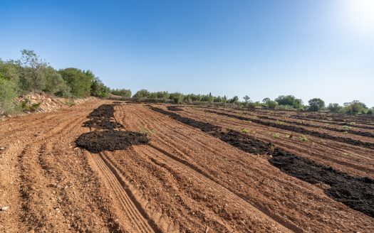 Finca sense arbres i amb casa de camp (89)