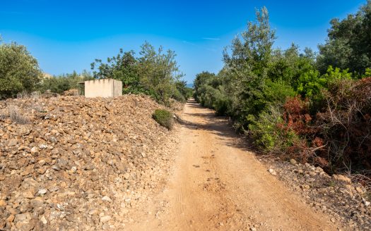 Finca sense arbres i amb casa de camp (89)