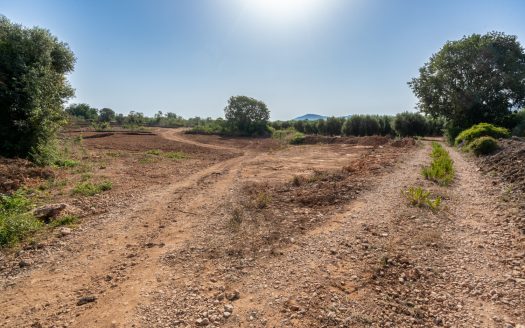 Finca sense arbres i amb casa de camp (89)