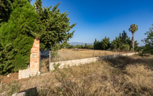 Cerca de Tortosa (90)