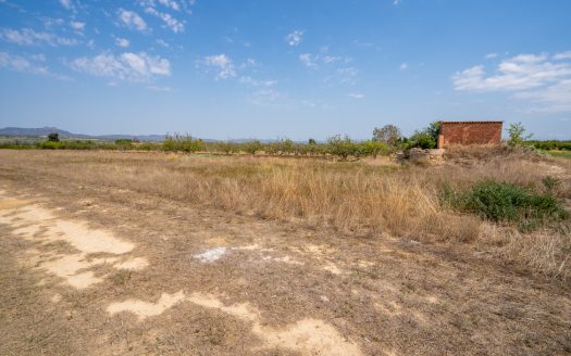 Flat plot with irrigation water (109)