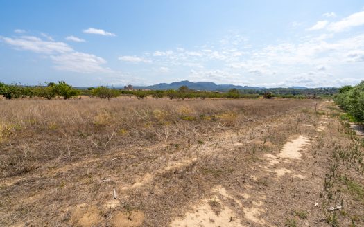 Flat plot with irrigation water (109)